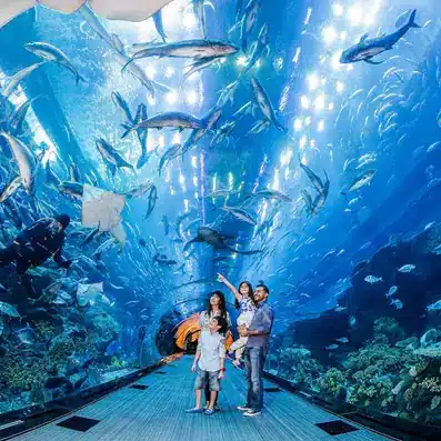 Sealladh de Aquarium Dubai & Sù fon uisge le diofar bheatha mara a’ snàmh anns an tanca