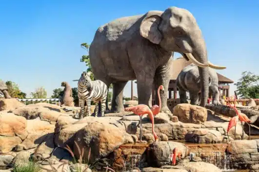 Dubai Safari Park