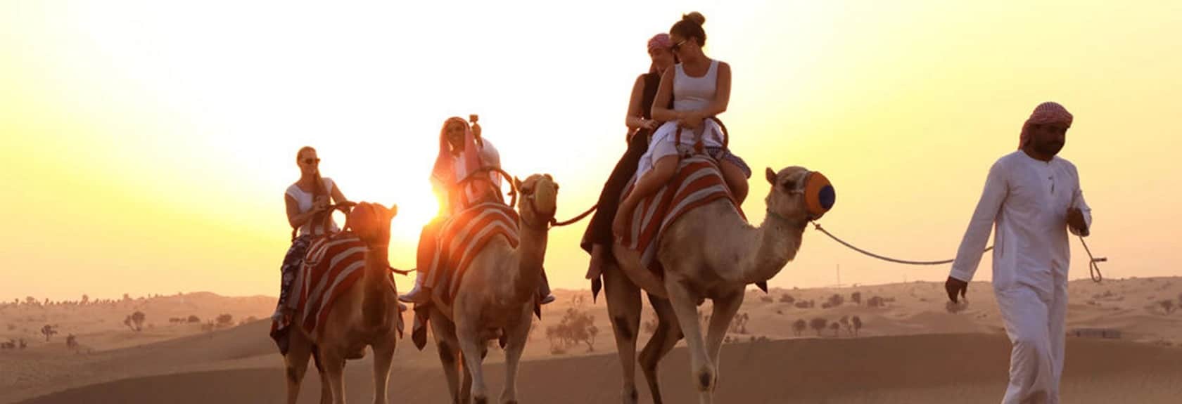 Camel Desert Safari