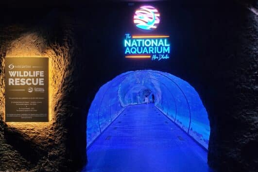 L'Aquarium Naziunale Abu Dhabi
