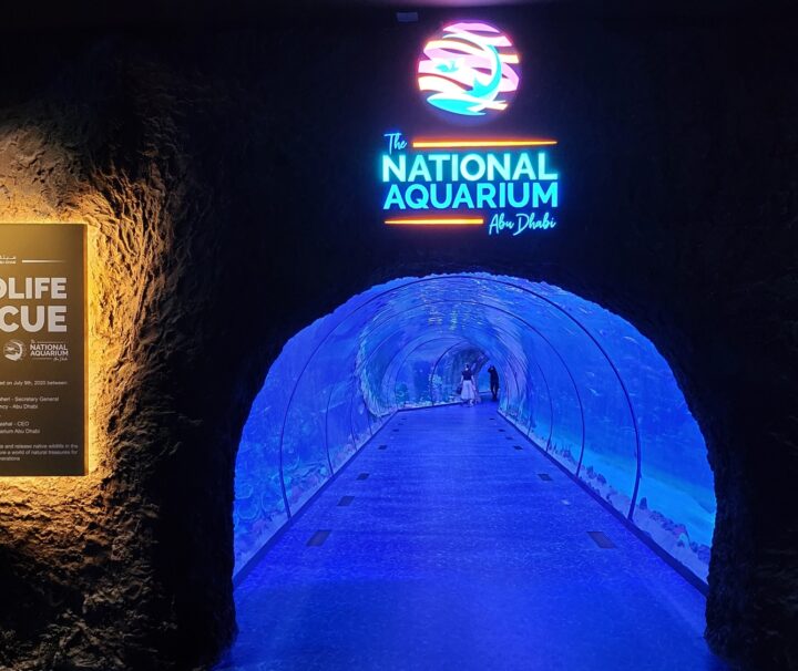 L'Aquarium Naziunale Abu Dhabi
