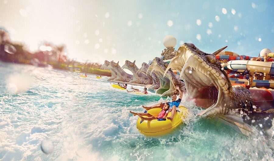 Thrilling water slide ride at Yas Water World with dragon-themed slides and splashing waves