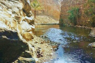 Serene mountain stream surrounded by rocky cliffs and lush greenery.