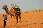 Tourists enjoying a camel ride in the desert.