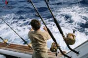 Angler fishing from the back of a boat on the open sea