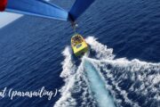 Parasailing Experience Viewpoint - A breathtaking rear-view perspective of a parasailing experience.