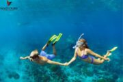 A couple holding hands while snorkeling in turquoise waters.