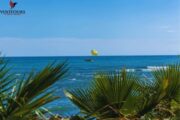 Parasailing boat towing a parachute over the serene blue sea with palm trees in the foreground