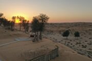 A stunning desert sunset with scattered trees and a traditional gazebo in the foreground