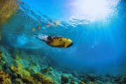 Swimmer gliding underwater with a yellow Seabob