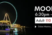 Close-up of Ain Dubai observation wheel illuminated at night