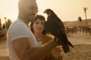 A couple admiring a falcon perched on the man's arm in a desert setting