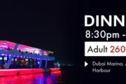 Illuminated dinner cruise yacht with Ain Dubai in the background at night