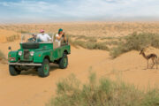 Vintage Jeep driving through the Arabian Desert with a gazelle in the foreground.