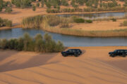 Safari SUVs near a desert lake with lush vegetation