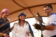 Guests participating in a falconry session with a professional trainer