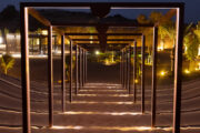 Elegant desert pathway illuminated at night with glowing lights