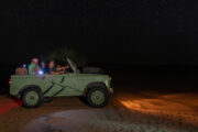 Night safari in a vintage jeep under a starry sky