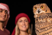 Owl and visitors during a nighttime desert safari