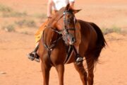 A woman in a pink cap riding a brown horse across the desert.