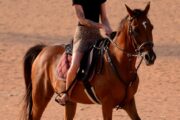 A woman in a pink cap riding a brown horse across the desert.