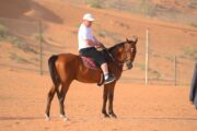 A man in casual attire riding a brown horse in the desert.