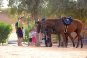 Children meeting a brown horse under the shade of desert trees.