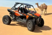 Tourist riding a camel in the Arabian desert