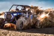 High-speed dune buggy adventure in the Dubai desert.