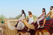 A group of tourists riding camels through the desert with a local guide.