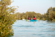 Sunset Kayak at Louvre Abu Dhabi – A scenic kayak ride at sunset near the Louvre Abu Dhabi.