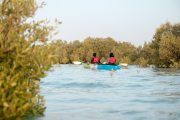 Sunset Kayak at Louvre Abu Dhabi – A scenic kayak ride at sunset near the Louvre Abu Dhabi.