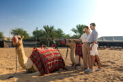 A couple standing beside resting camels in a desert camp.