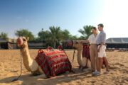 A couple admiring camels resting in the desert with a scenic backdrop.