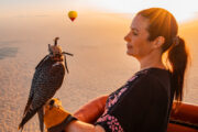 A woman holding a falcon inside a hot air balloon during sunrise.