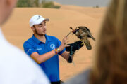 A trained falcon flying over a group watching in the desert.