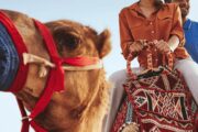 Tourists riding camels in a desert safari experience.