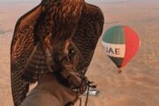 Couple enjoying a falconry experience in a hot air balloon over the Dubai desert.