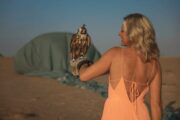 A majestic falcon with a UAE-themed hot air balloon in the background.