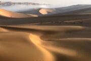 Golden desert dunes gently cloaked in early morning fog.