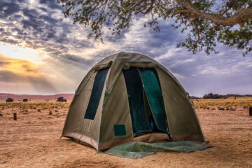 A green dome tent set beneath a tree in a desert at sunrise or sunset.