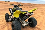 Rear View of the Yamaha Raptor 700cc in the Desert