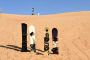 Four sandboards standing upright in golden desert dunes under a clear blue sky.