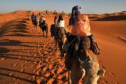 A caravan of travelers riding camels across sunlit desert dunes.