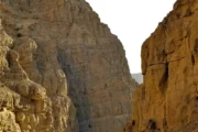 A bright mountain road lined by towering stone cliffs in Ras Al Khaimah.