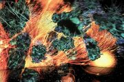 Fiery abstract installation with dynamic visuals at TeamLab Phenomena Abu Dhabi