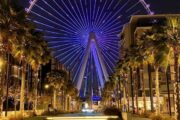 Ain Dubai Ferris wheel illuminated at night with palm trees
