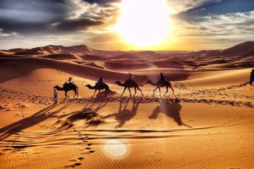 Begin your day with a peaceful camel ride through the desert’s golden sands.