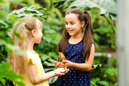 due bambini che tengono una farfalla in un giardino verde