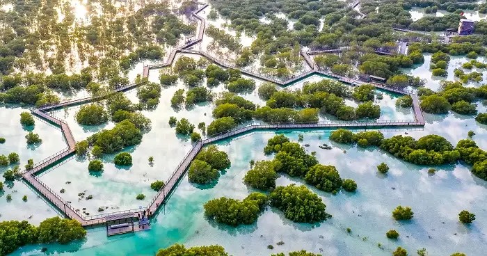Parc de la mangrove de Jubail à Abou Dhabi : activités, billets et conseils